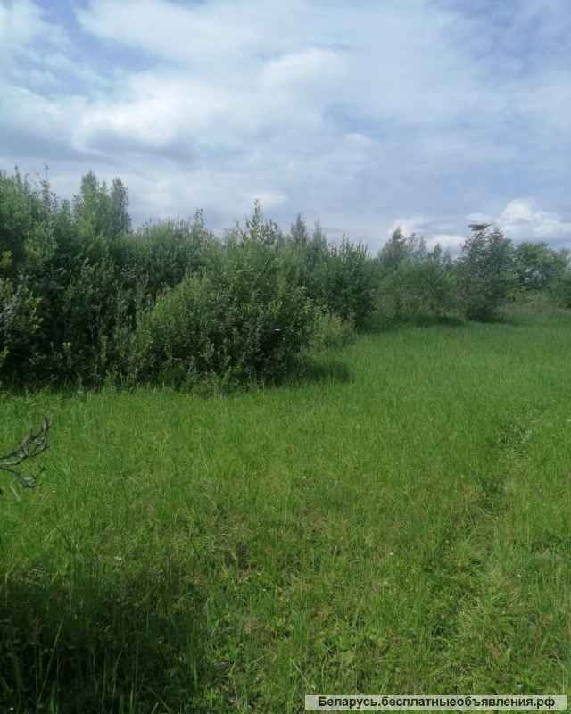 Большой участок, дом, 100 м от озера