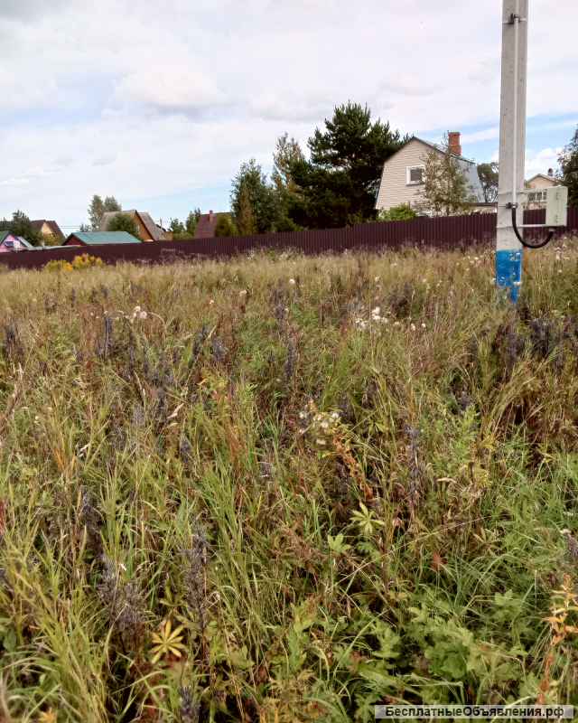 Участок 8 сот. (СНТ, ДНП)