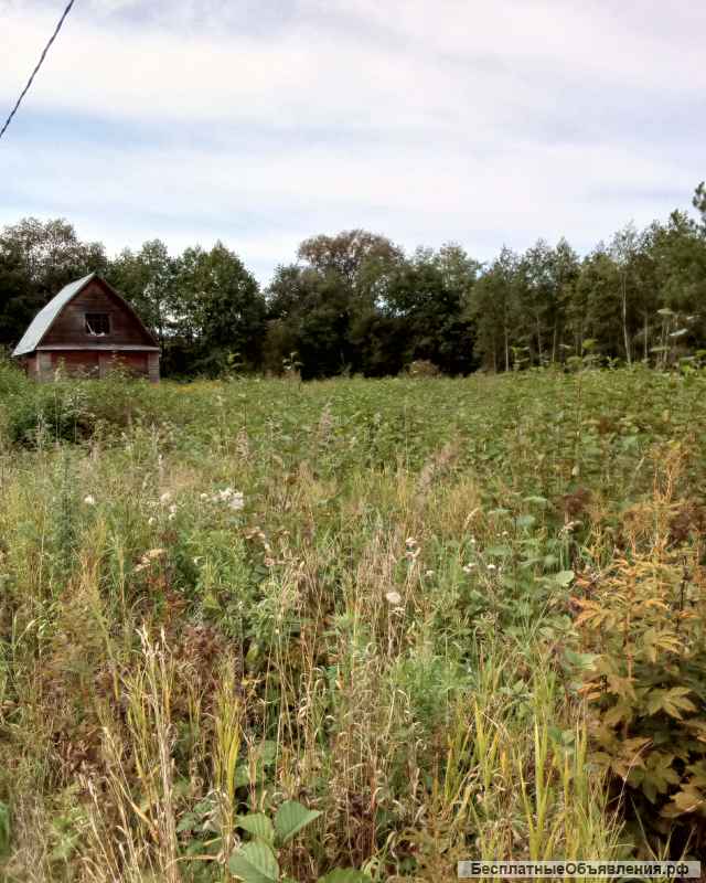 Участок 8 сот. (СНТ, ДНП)