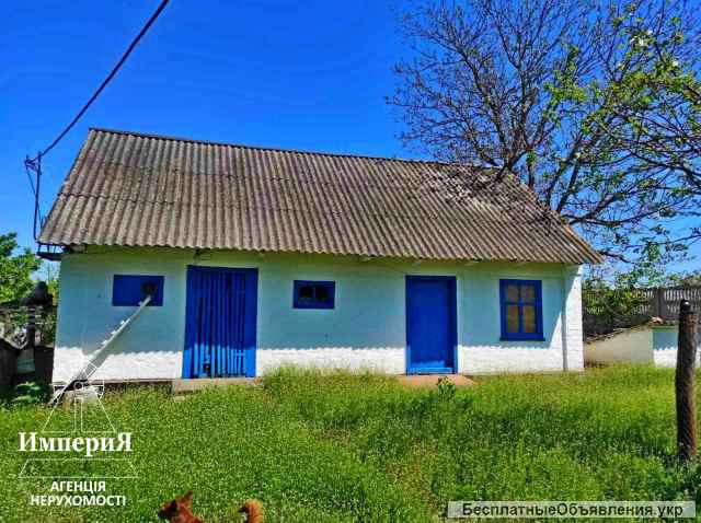 Дом с большим участком в Малой Сквирке