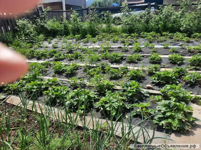 Жилой дом на берегу озера. Байкал