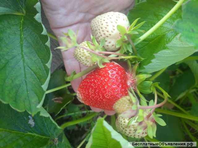 Жилой дом на берегу озера. Байкал