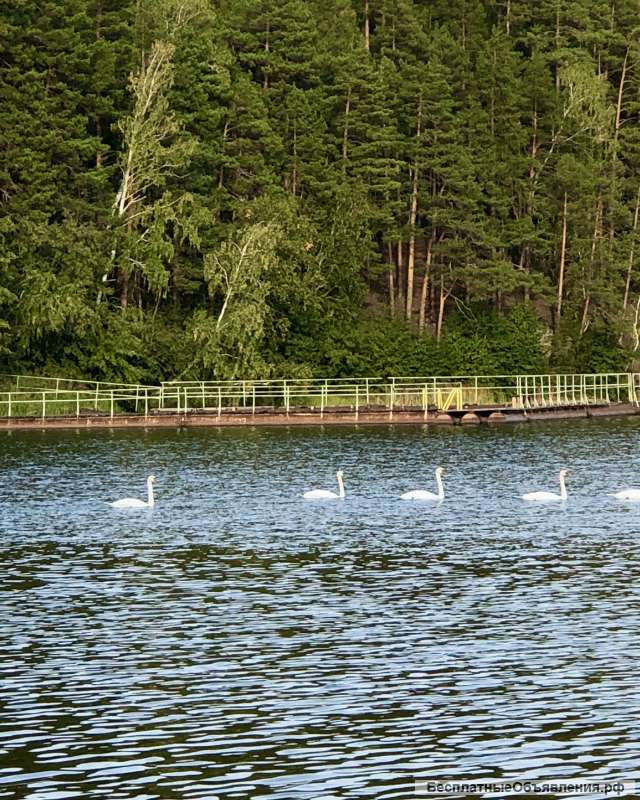 Дом 295 м2 Челябинская область на недвижимость в Санкт Петербурге