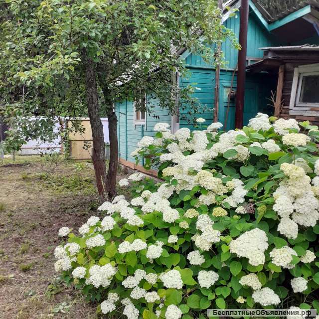 Земельный участок 4 сотки с садовым домиком 12,8 м2