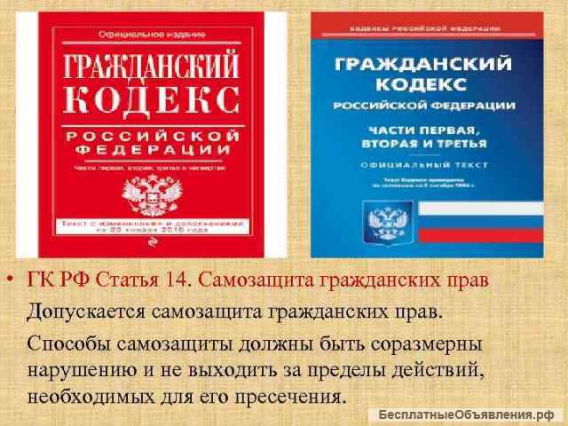 Правовая помощь в самозащите (де-юре и де-факто)