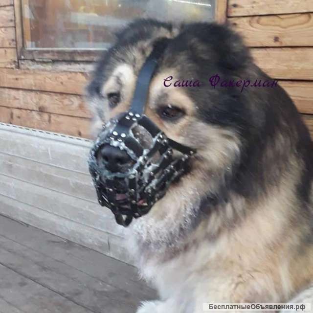 Намордники для крупных собак на заказ