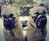 Намордники для крупных собак на заказ