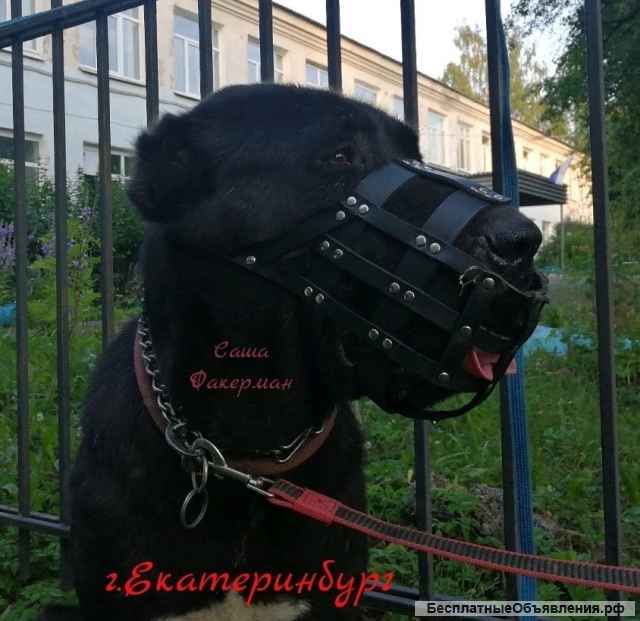 Намордники для крупных собак на заказ