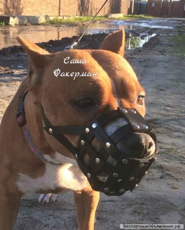 Намордники для крупных собак на заказ