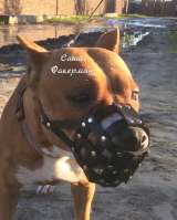 Намордники для крупных собак на заказ