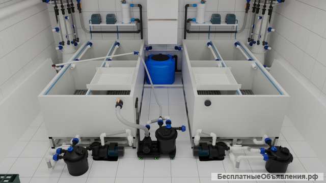 Передержка узв аквариум для морепродуктов