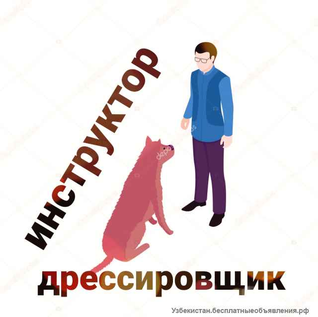 Услуги кинолога