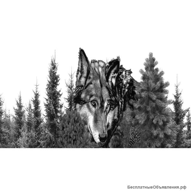 Наклейки на борт авто