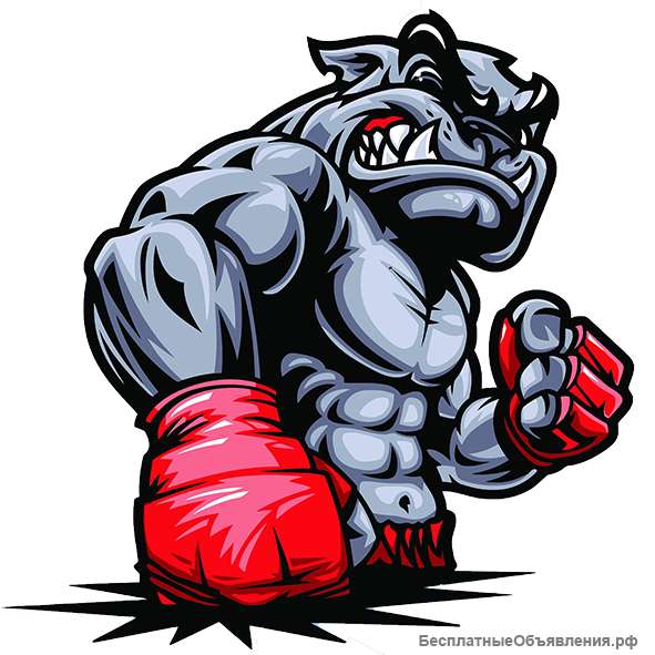 Наклейки контурные для авто