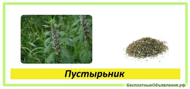 Целебные травы в каждый дом