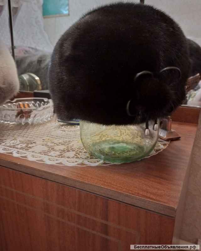 Шуба, шапки, шаль