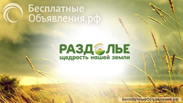 Охранник