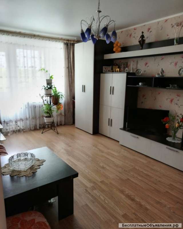 Свою квартиру