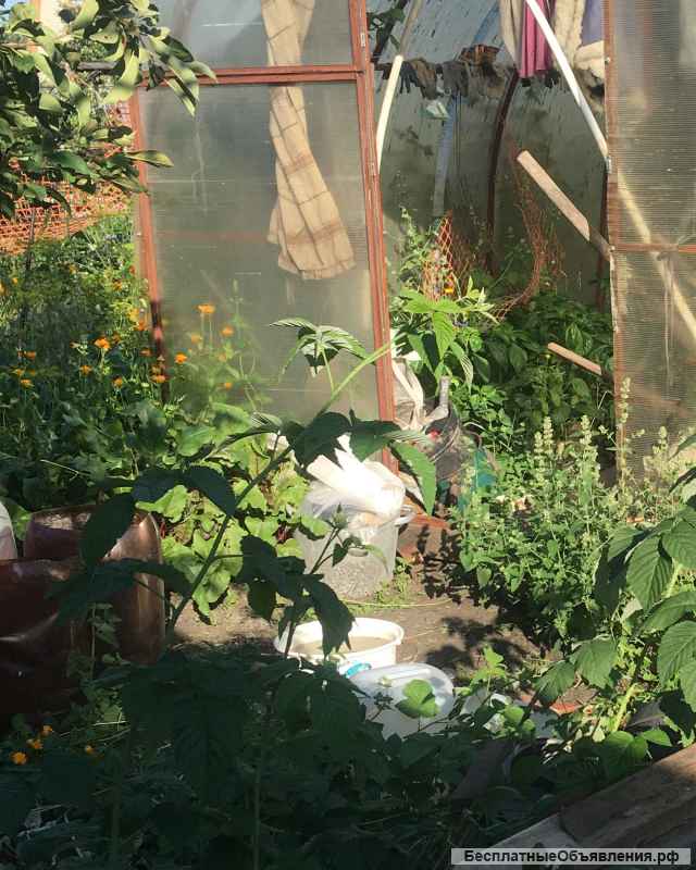 Сад с домиком станкостроитель-2