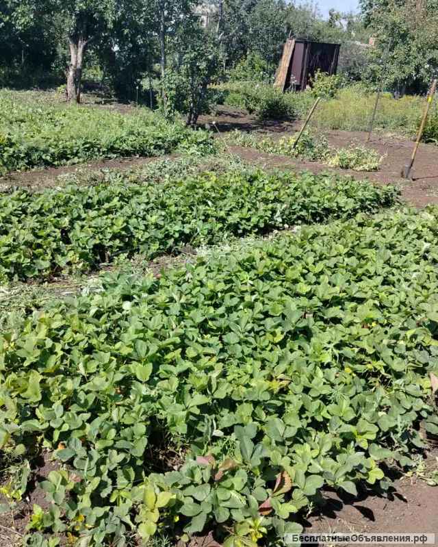 Дачный участок