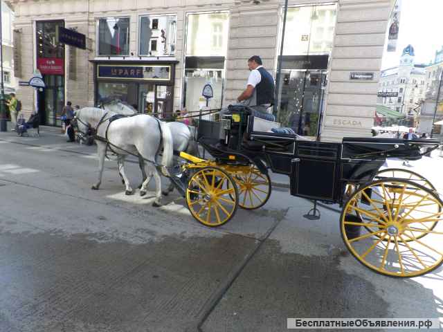 Stellensuche - als Übersetzer-Dolmetscher-Eilübersetzungen-Sprachen-Translator