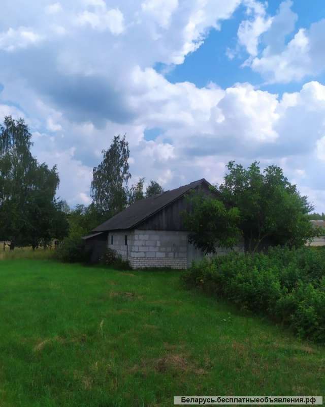 Дом с большим участком. Беларусь, Брестская область