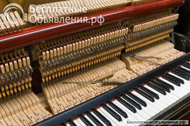 Настройка пианино в Великом Новгороде
