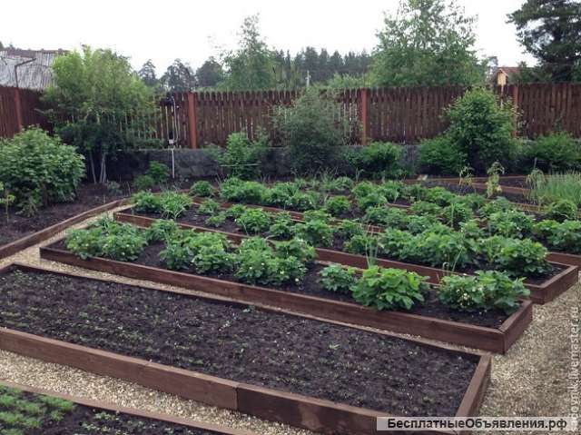 Садовый участок