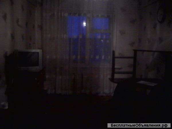 Сдам в аренду