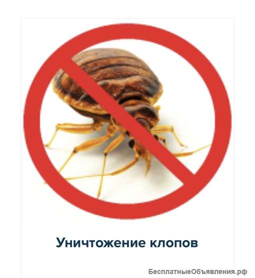 Уничтожение клопов в любыъ помещениях