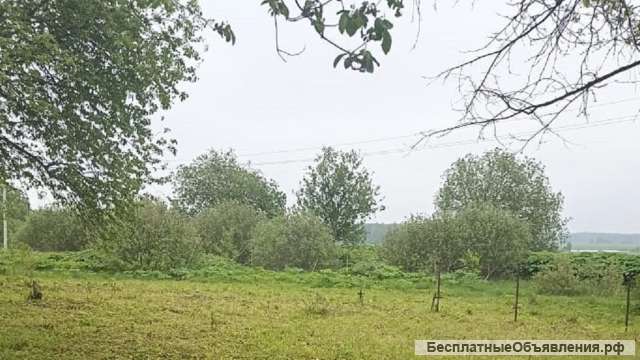 7 соток у реки и леса