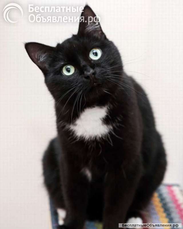 Очаровательная Маруся ищет дом