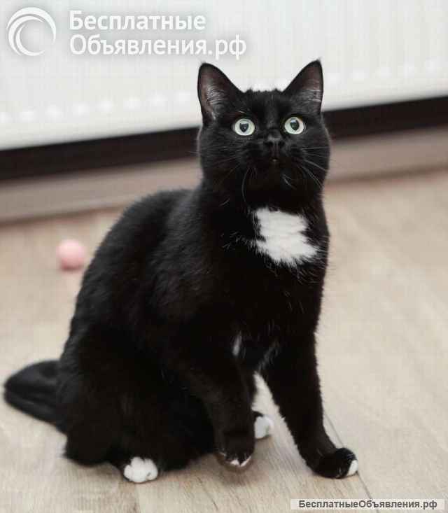 Очаровательная Маруся ищет дом