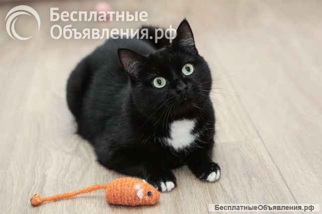 Очаровательная Маруся ищет дом