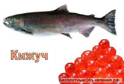 Настоящая Камчатская продукция опт и розница