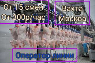 Оператор линии птицефабрики. Москва вахта