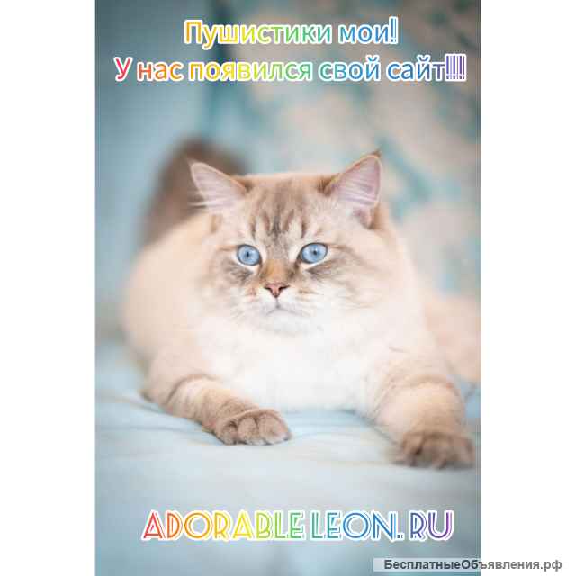 Невские маскарадные малыши