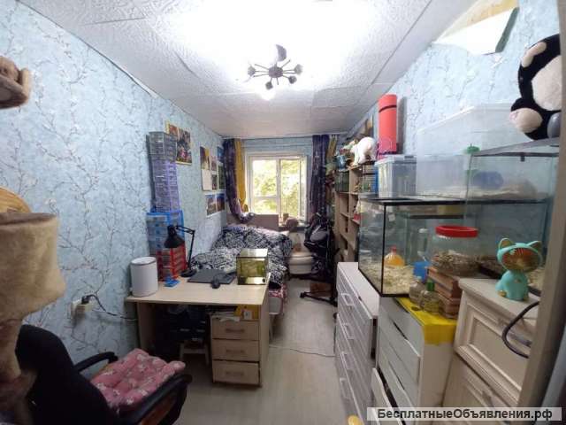 Квартира Жидилова