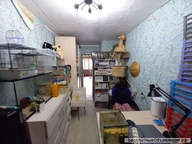 Квартира Жидилова