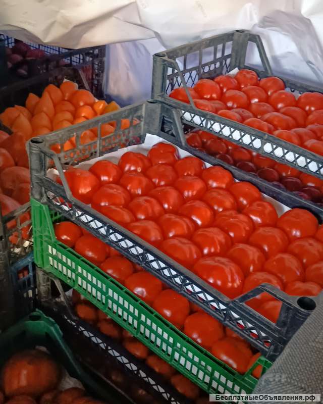 Помидоры с собственной теплицы