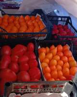 Помидоры с собственной теплицы