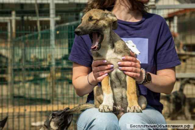 Маленькая красавица Хильда в самые добрые руки