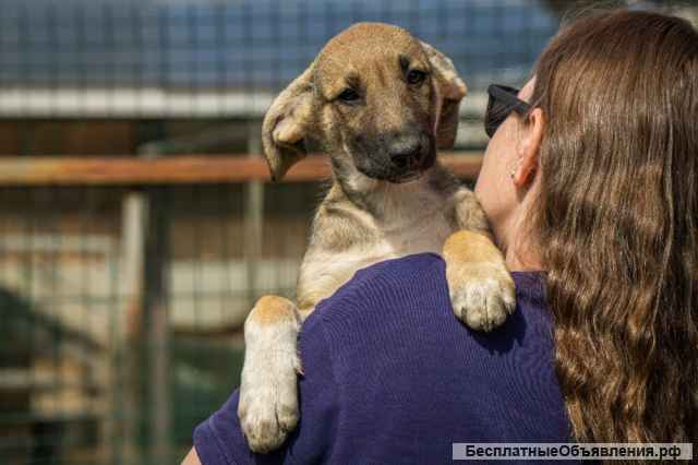Маленькая красавица Хильда в самые добрые руки