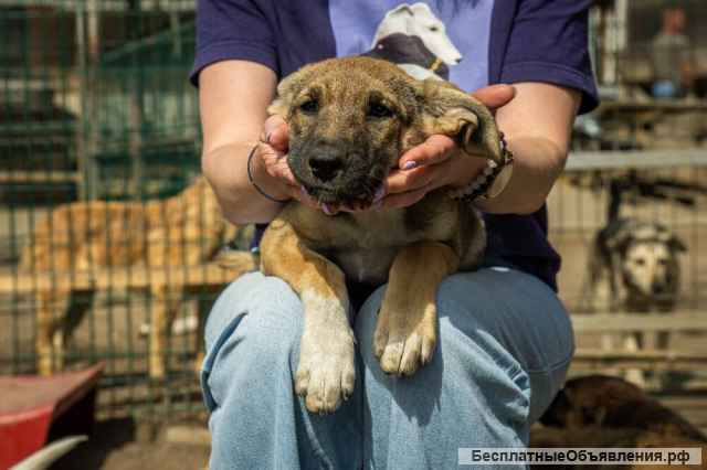 Маленькая красавица Хильда в самые добрые руки
