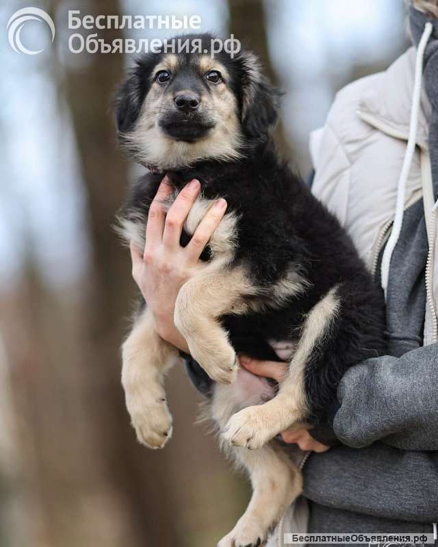 Малышка Юста ищет своих добрых людей