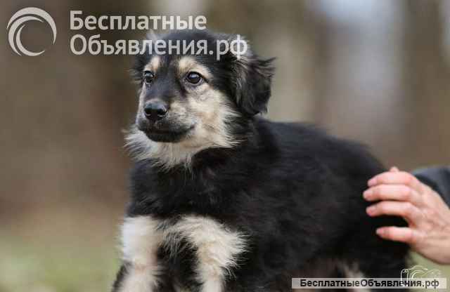 Малышка Юста ищет своих добрых людей