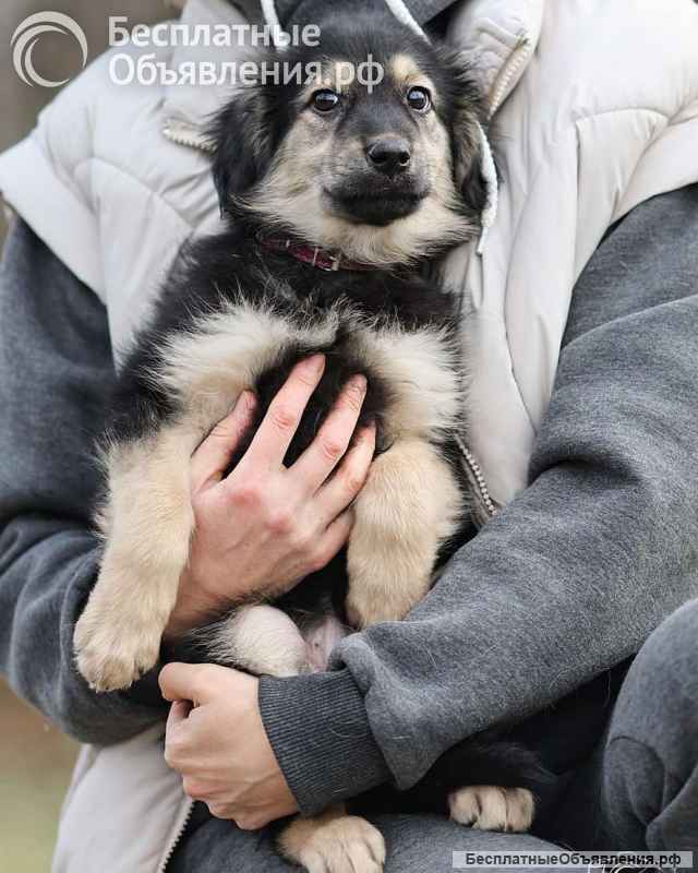 Малышка Юста ищет своих добрых людей