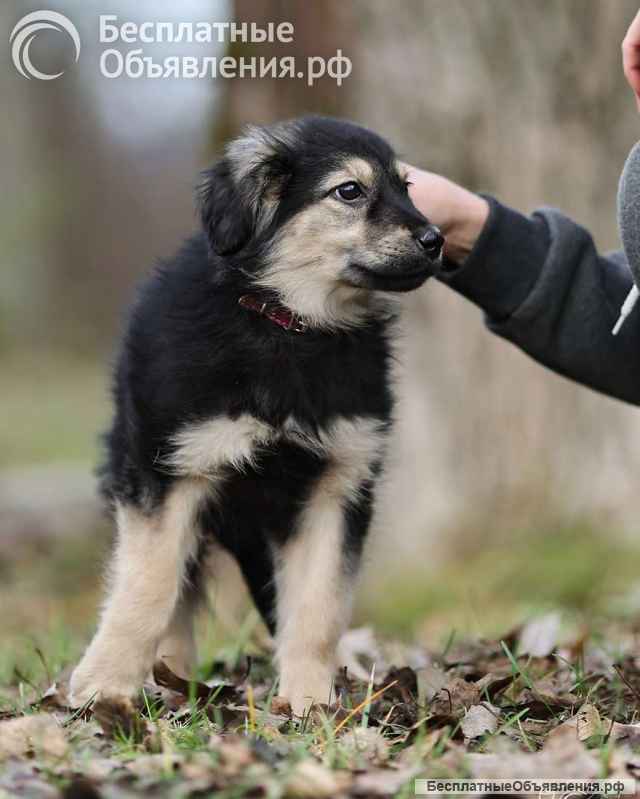 Малышка Юста ищет своих добрых людей