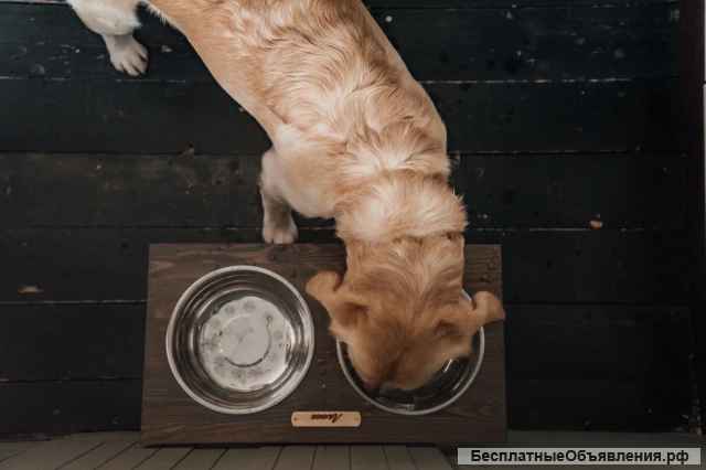 Кормушка, подставка для мисок для собак крупных пород