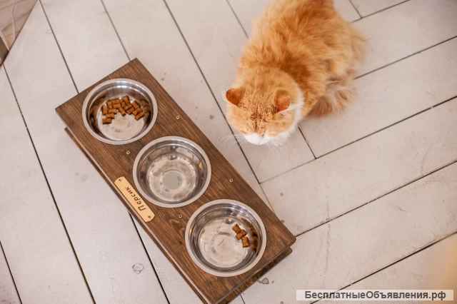 Кормушка, подставка с мисками для кошек и собак малых пород